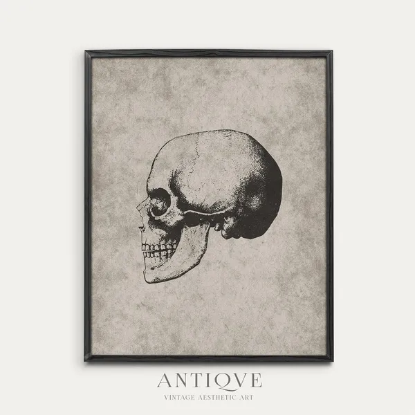 Vintage Skull Sketch, Neutral Halloween Gothic Print