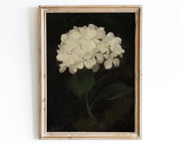 European Vintage White Hydrangea Flowers Still Life Art Print