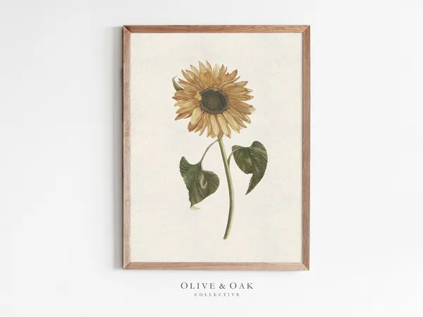 Sunflower Botanical Art Print, Autumn Decor