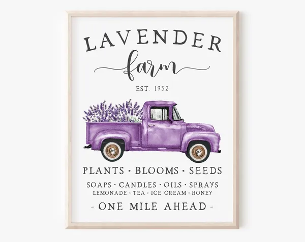 Lavender Farm Summer Farmhouse Truck Art Print