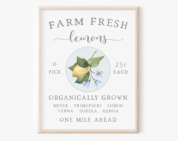Farm Fresh Lemons Summer Art Print, Farmhouse Kitchen Decor