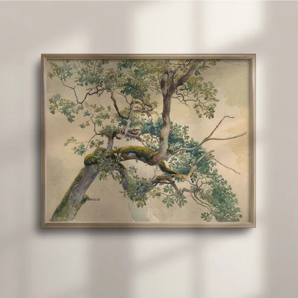 Antique Tree Vintage Botanical Watercolor Art Print