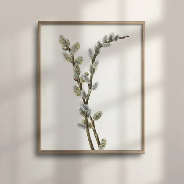 Vintage Botanical Roses Art Print, Rustic Farmhouse Decor