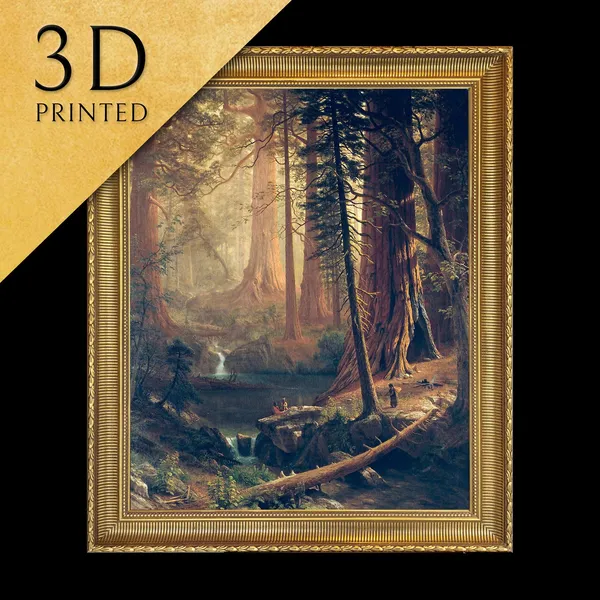 Giant Redwood Trees Of California, Landscape Art Print