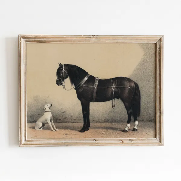 Horse Dog Illustration, Vintage Animal Art Print