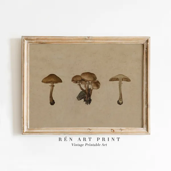 Vintage Mushroom Art Print, Farmhouse Kitchen Decor