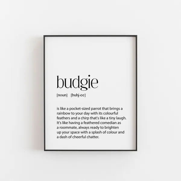 Budgie Wall Art Print, Pet Lover Christmas Gift