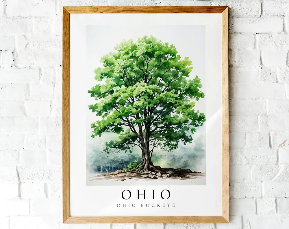 Ohio Buckeye State Tree Poster Print