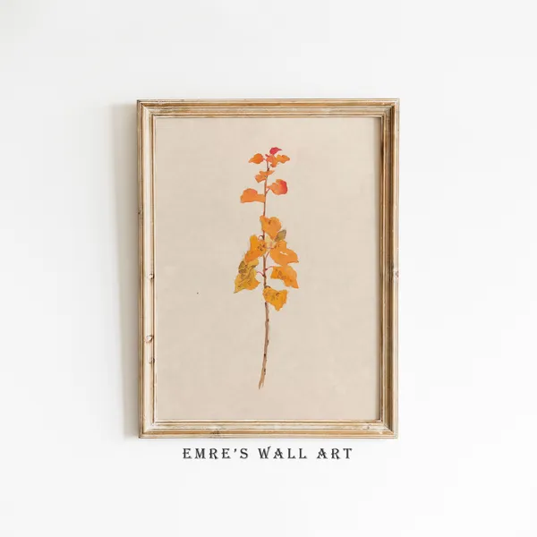 Antique Botanical Print, Rustic Farmhouse Decor