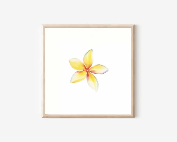Hawaii Plumeria Watercolor Art Print for Home