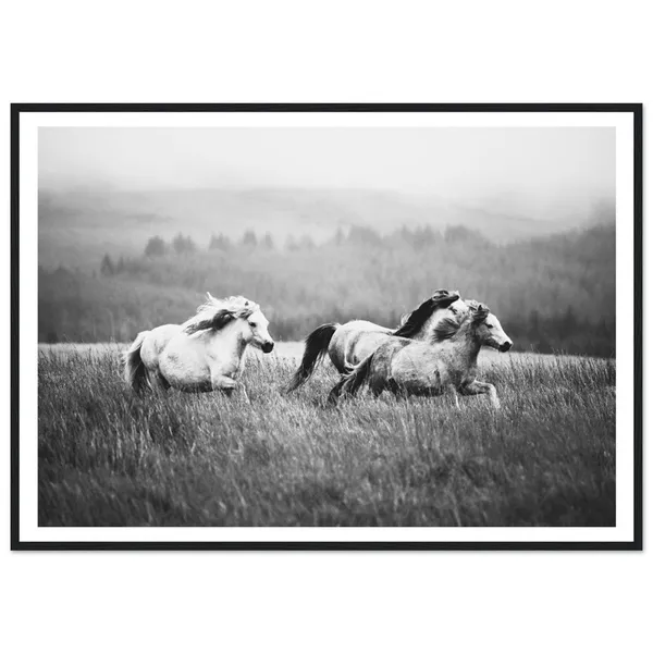Wild Horses Mountain Print, Black And White Nature Art