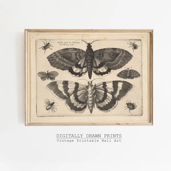 Halloween Antique Butterfly Drawing Dark Academia Print