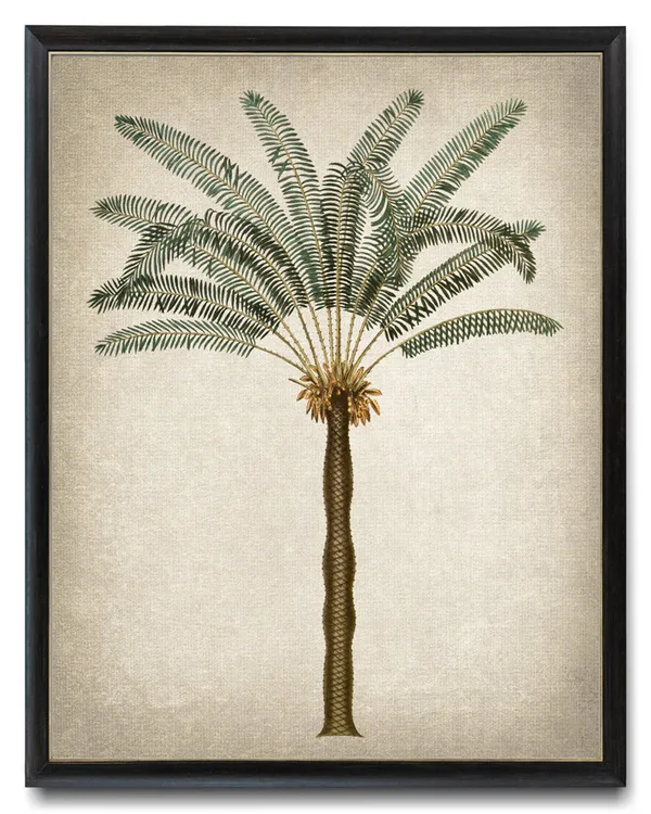 Palm Tree Vintage Illustration, Tropical Art Print