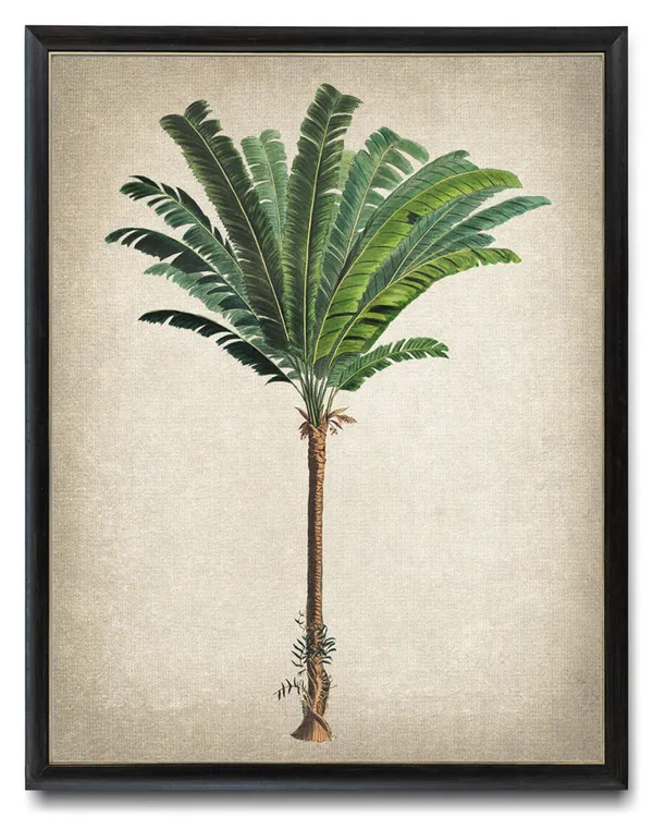Palm Tree Troolie Palm Vintage Illustration Art Print