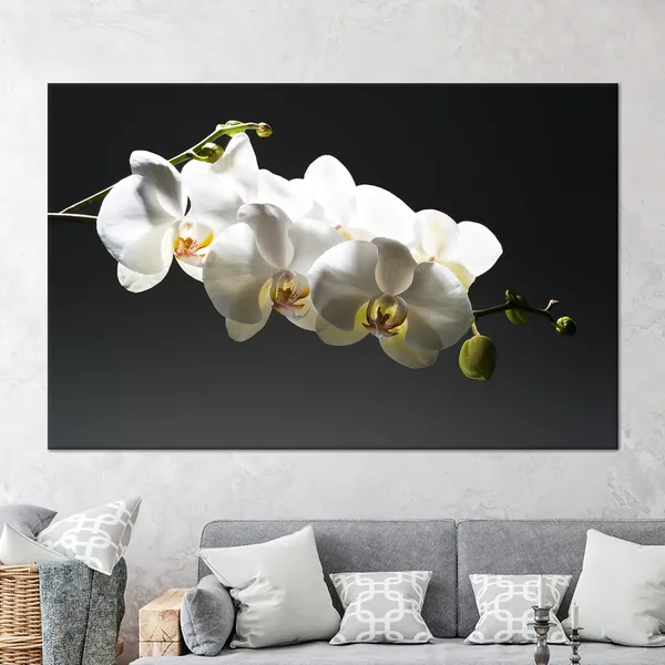 Orchid Floral Poster Print for Living Room Decor