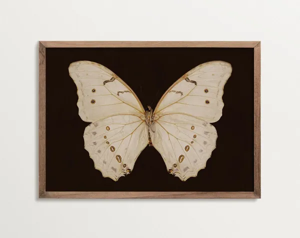 Dark Academia Butterfly Art Print