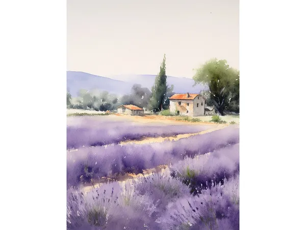 Lavender Field Provence Watercolor Art Print