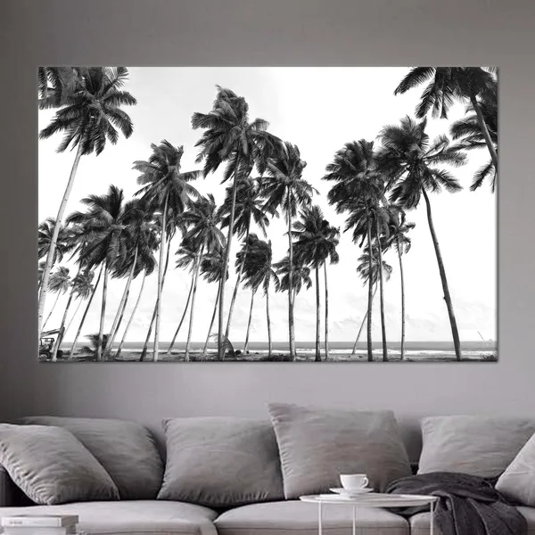 Palm Trees Coastal Black and White Art Print