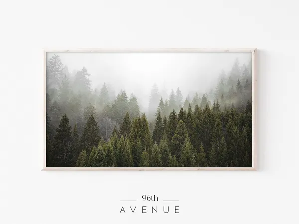 Moody Foggy Forest Landscape TV Art Print