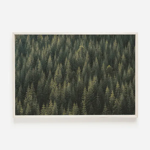 Mountain Forest Art Print, Modern Rustic Landscape