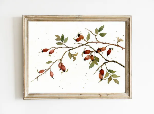 Rose Hip Watercolor Print, Farmhouse French Decor