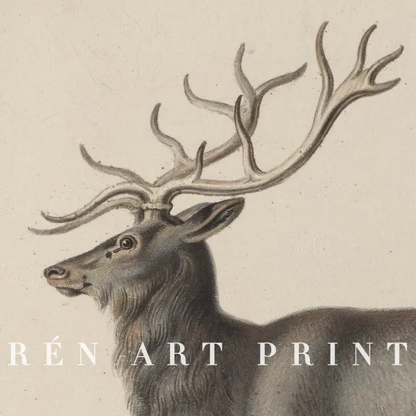 Vintage Reindeer Art Print, Rustic Christmas Decor