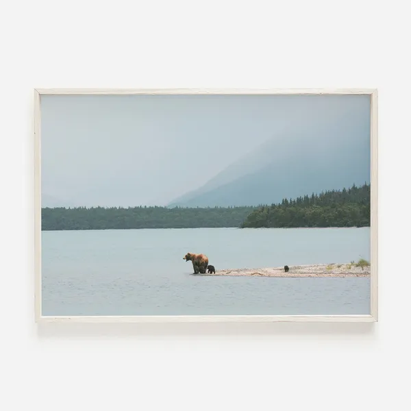 Grizzly Bear Lake Shore Photo Landscape Art Print