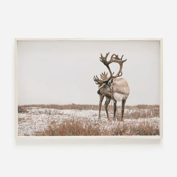 Reindeer Photo Neutral Christmas Art Print, Farmhouse