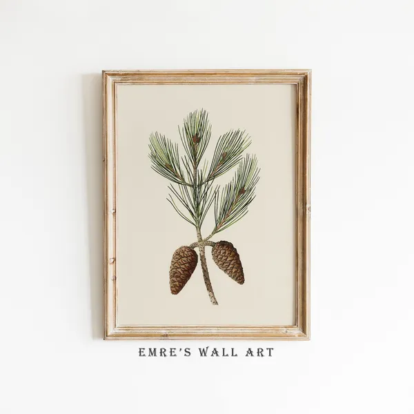 Pine Cone Branch Sketch, Vintage Botanical Art Print