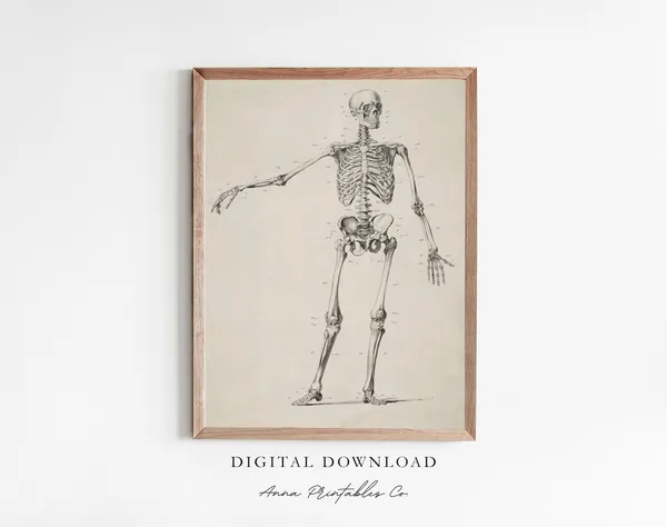 Vintage Skeleton Anatomy Diagram Art Print, Gothic Decor