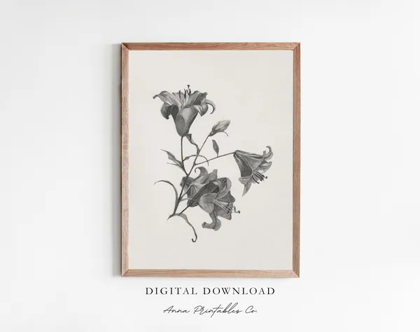 Lilies Sketch Vintage-Inspired Art Print