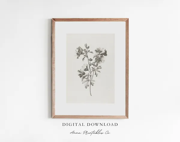 Mallow Flowers Antique Floral Etching, Vintage Art Print