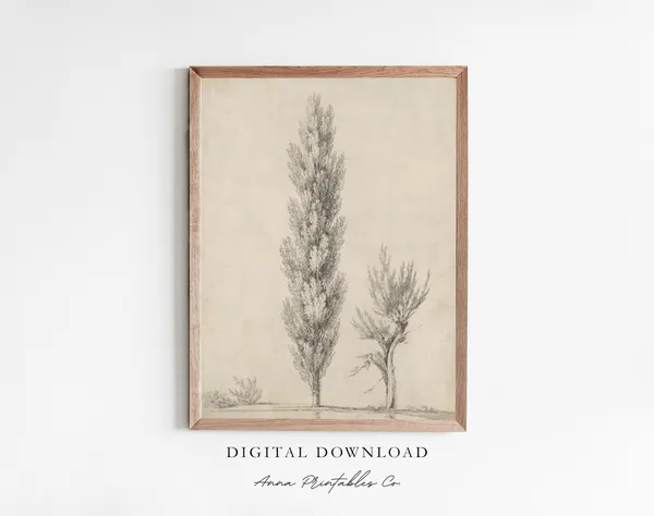 Columnar Trees Vintage Drawing, Nature Wall Art Print