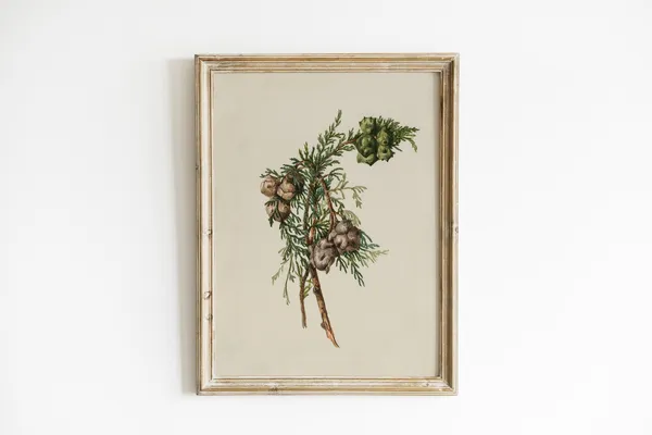 Winter Branch Christmas Vintage Antique Poster