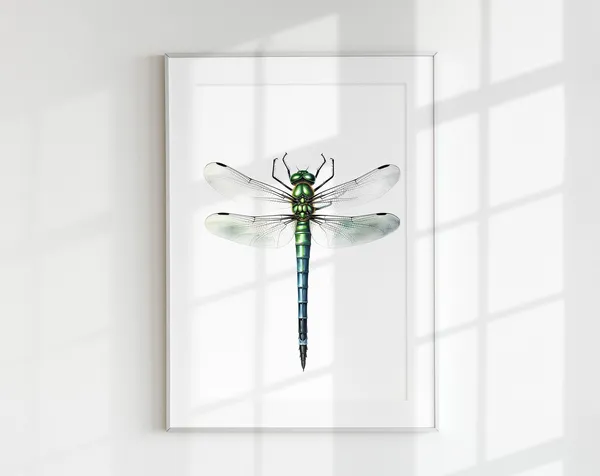 Dragonfly Botanical Guide Poster Print
