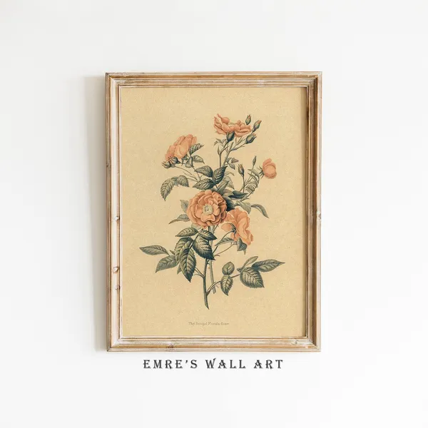 Vintage Botanical Rose Drawing Art Print