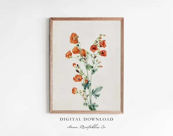Scarlet Globe Mallow Antique Flower Art Print