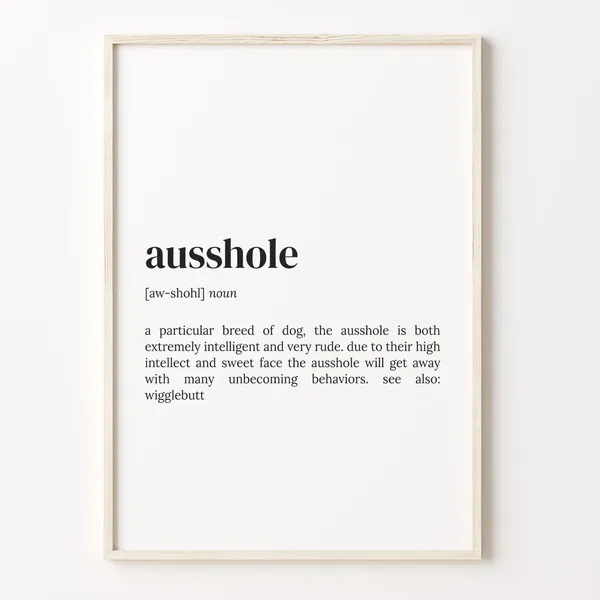 Ausshole Definition Quote Typography Art Print
