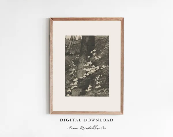 Vintage Mushrooms on a Forest Hillside Art Print