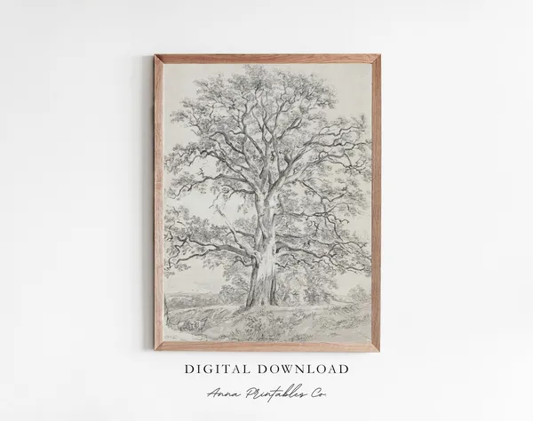 Great Oak Tree Antique Sketch Print, Rustic Farmhouse