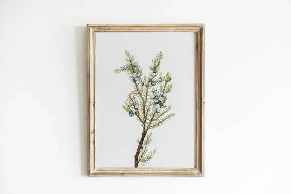 Winter Branch Vintage Christmas Poster