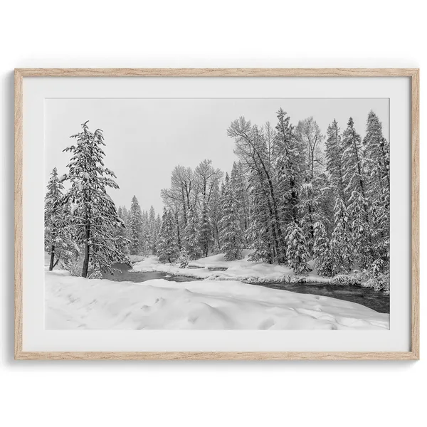 Snowy Forest Black And White Nature Art Print