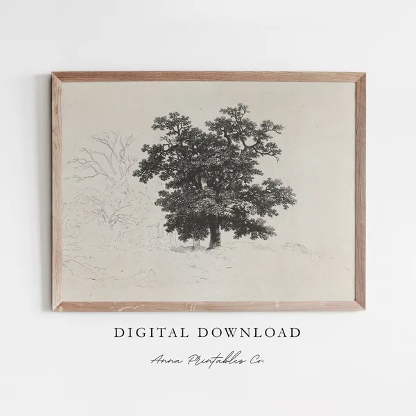 Vintage Tree Etching Print, Rustic Nature Wall Art