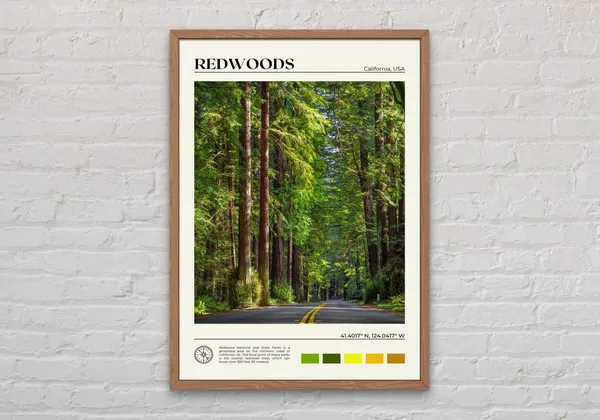 Redwoods Real Photo Art Print, California Travel Poster