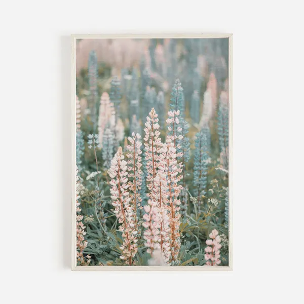 Lupine Flowers in Washington, PNW Floral Art Print