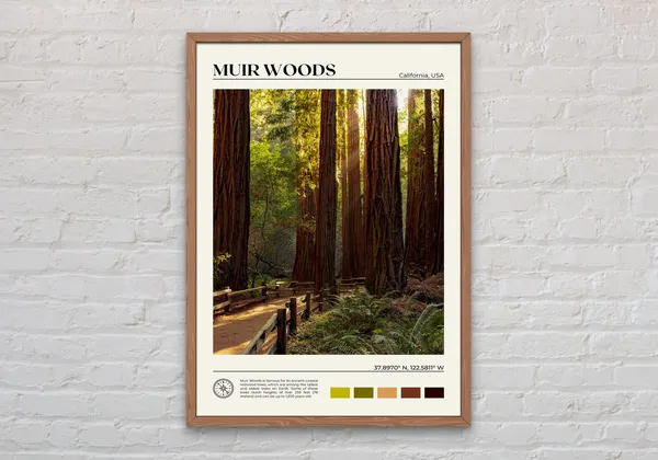 Muir Woods National Monument Travel Poster