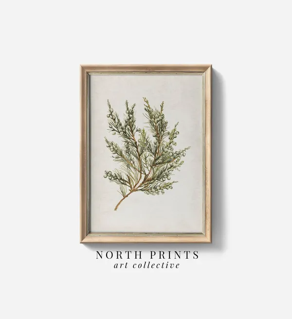 Rustic Botanical Winter Country Art Print