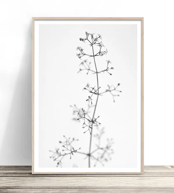 Black and White Flower Photography, Scandi Decor