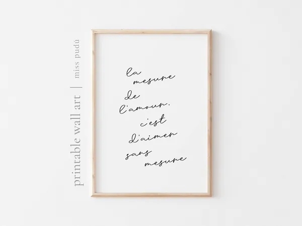 La Mesure De Lamour French Love Quote Art Print
