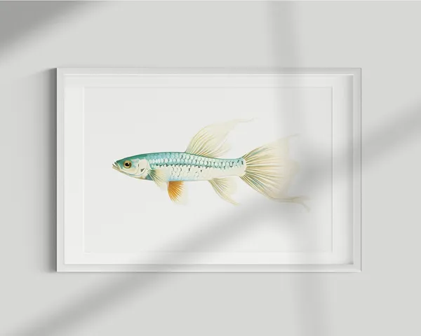 Guppy Fish Vintage Illustration Art Print